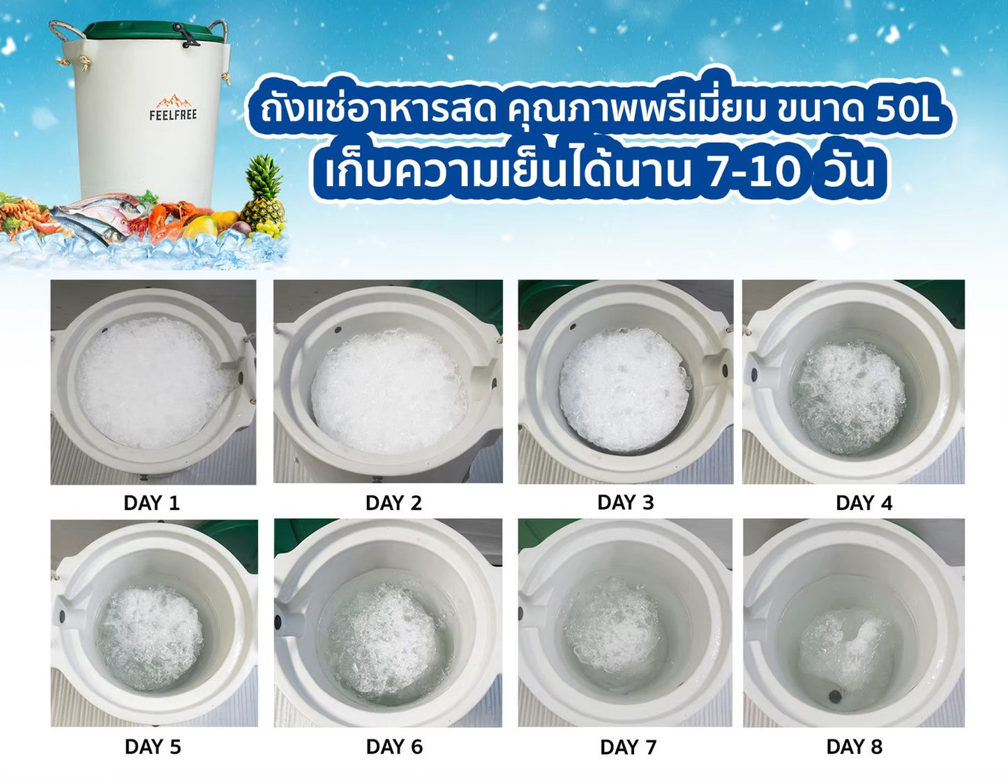 FEELFREE INNER BIN ถังน้ำแข็ง ถังเก็บความเย็น ถังแช่อาหารสดหรือเครื่องดื่ม เก็บความเย็นได้ 7-10 วัน ความจุ 50L
