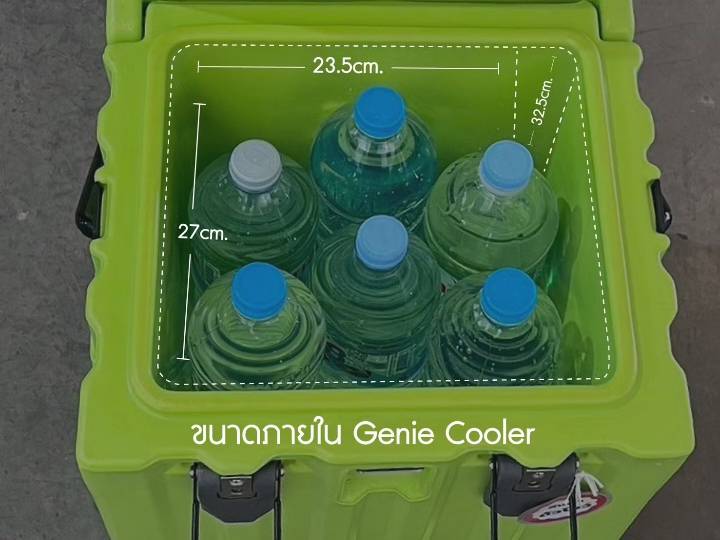 FEELFREE COOLER GENIE