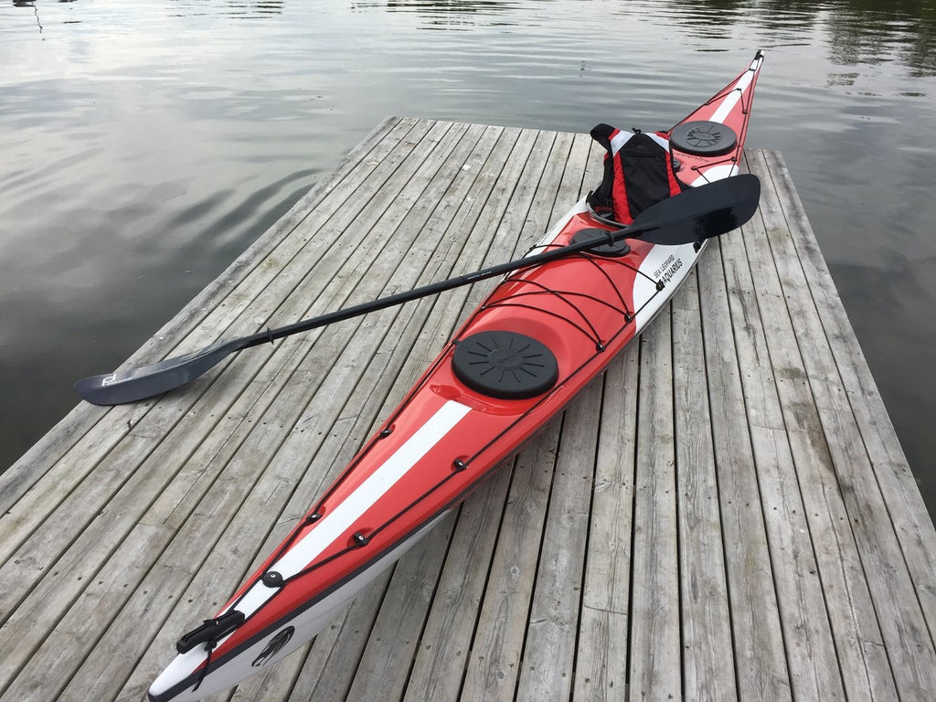 AQUARIUS SEA LEOPARD